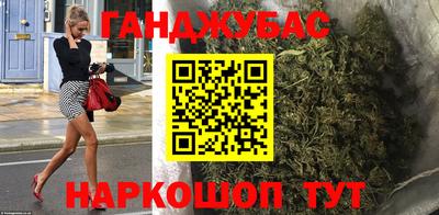 сатива Ставрополь