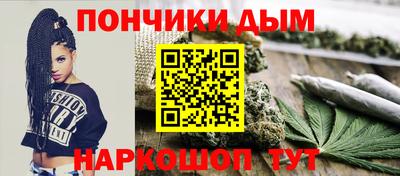 прущие грибы Сланцы