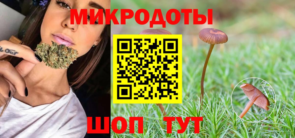 Галлюциногенные грибы Psilocybine cubensis Партизанск